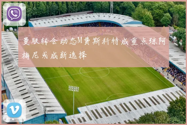 曼联转会动态M费斯科特成重点琼阿梅尼或成新选择
